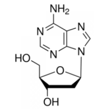 2'-дезоксиаденозин моногидрат, 99%, Alfa Aesar, 1г