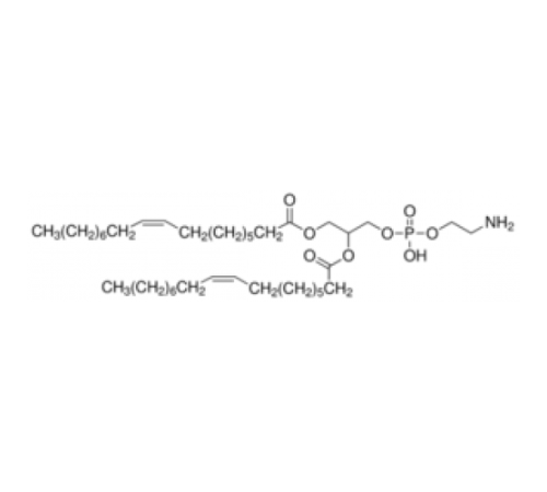 1,2-диолеоил-sn-глицеро-3-фосфоэтаноламин  97,0% (ТСХ) Sigma 76548